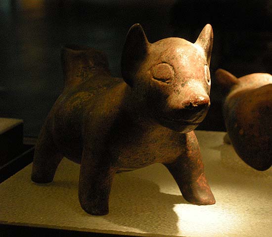 Berlin, Dahlem Museum, Mesoamerican ceramics: dog statue