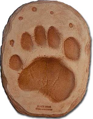 Footprint of black bear