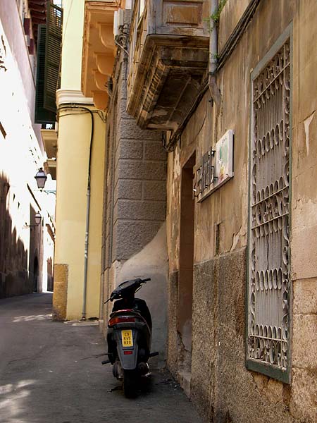 Palma de Mallorca, Carrer Pietat, Bar Perfil, Two-Tailed Dog