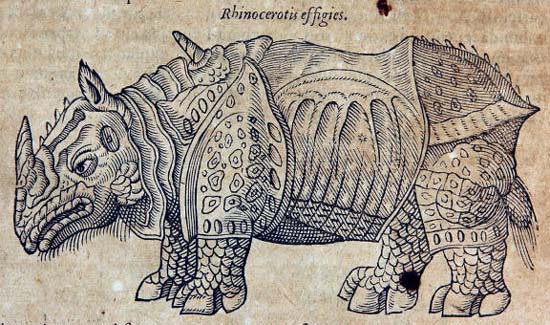 The rhinoceros of Dürer in Ambroise Paré