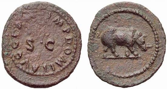 Domitianus bronz érme rinocérosszal, A.D. 88, RIC 249-250 (424-435)