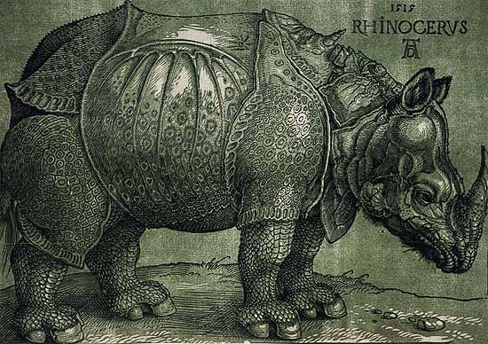 The rhinoceros of Dürer, 8th edition by Willem Janssen, Amsterdam, 17th century