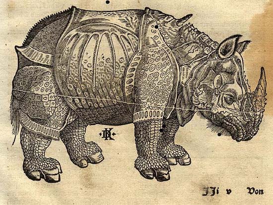 The rhinoceros of Dürer in the Cosmographia of Sebastian Münster, around 1550
