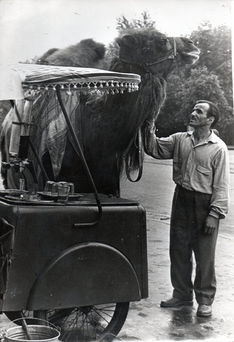 Poemas del río Wang: Even more Fascist elephants